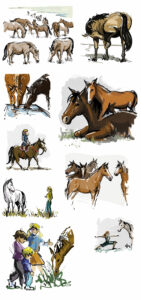 Quelques illustrations correspondantes aux différentes catégories du jeu réalisées pour le jeu de coopération "la tribu du cheval'lié