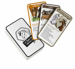 Simulation 3d d'un paquet de cartes montrant le verso et le recto de 3 cartes du jeu de coopération "la tribu du cheval'lié