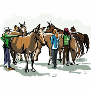 Image de mise en avant de l'élément de portfolio jeu de coopération "la tribu du cheval'lié"
