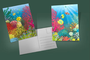 p17_dos-cartes