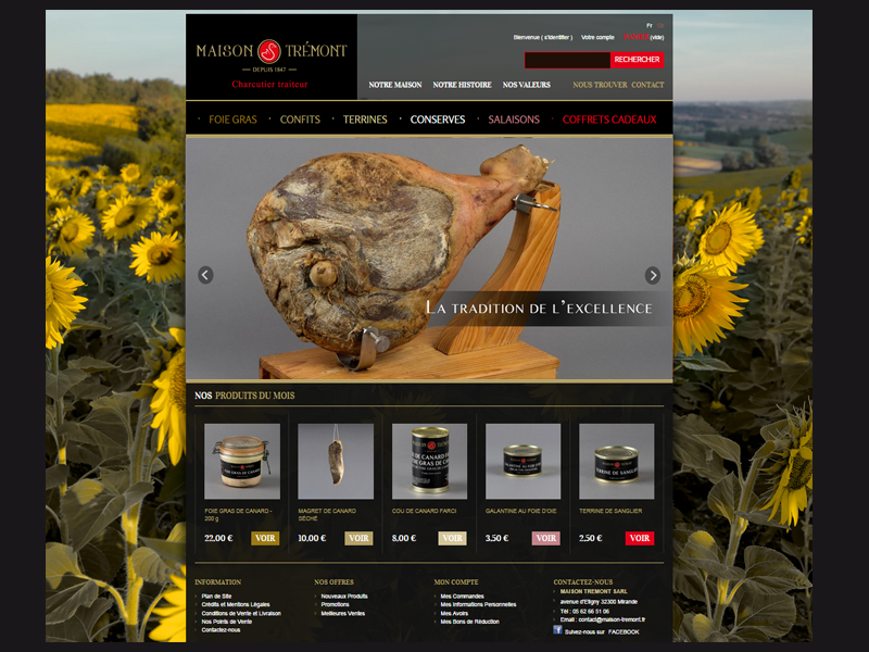 tremont_design_web_01
