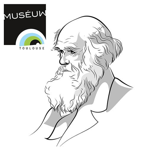 vign_museum